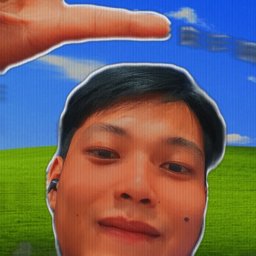 AomAom profile image