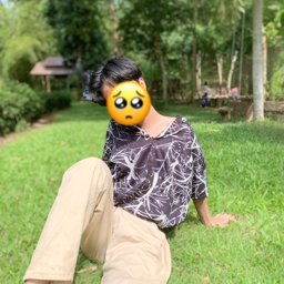 Apilak profile