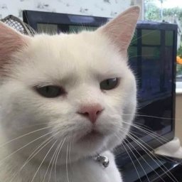 Candysexyx profile image