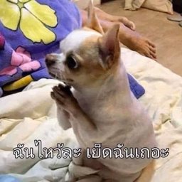 Fah_thai profile image