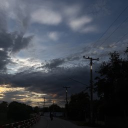 Feifei21