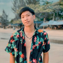 JanPun profile
