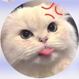 Kik17 Icon