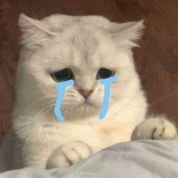 Nenii profile image