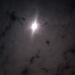 Nongtrn profile image