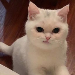 Oilyyyy profile image