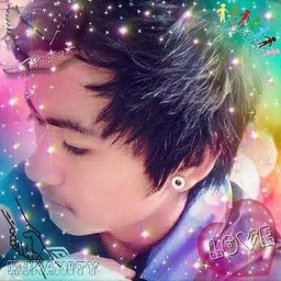 Pansak profile