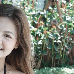 Ping_ping profile