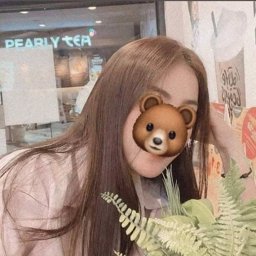 Ploy_y22