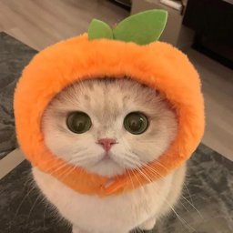 Sweet_898 Icon
