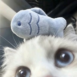 Sweet_898 profile image