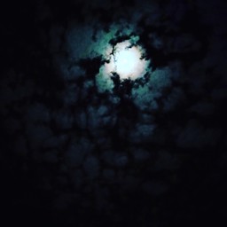 Ta26597 profile image
