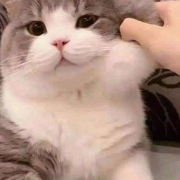 Timme profile image