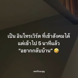 Toongha62017