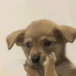 Urfavv profile image