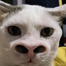 Wathanoottt0 Icon