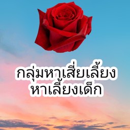 Wiyada40831 profile image