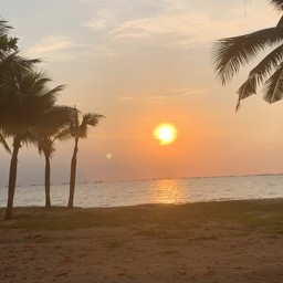 Wuttichok5220 profile