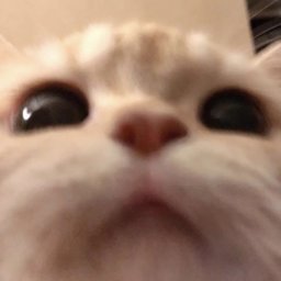 Xanyxzq236 profile image