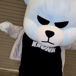 Zeewhy071 Icon