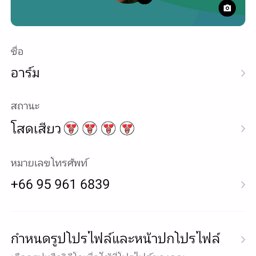 armlomkao profile