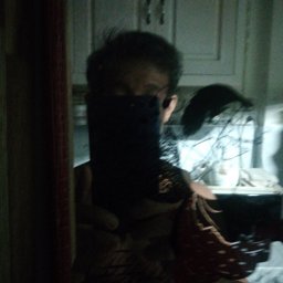 gig_gogy profile