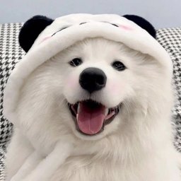 kanyaaaa profile image