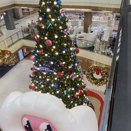 linnn95 profile image