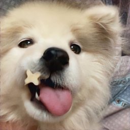 maerczi profile image