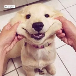 numse profile image