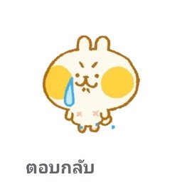 pp999 Icon