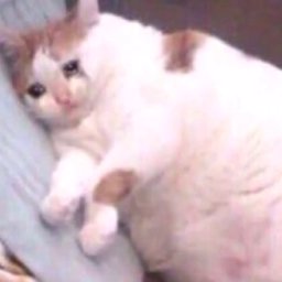 sarrayx profile image
