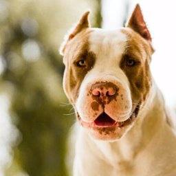 somoo_oo profile image