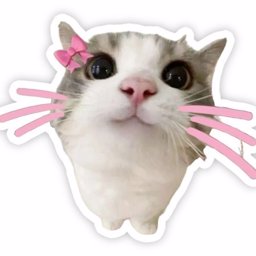 yourboo profile image