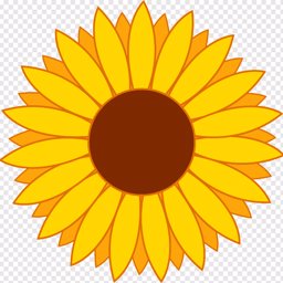 zitizen profile image