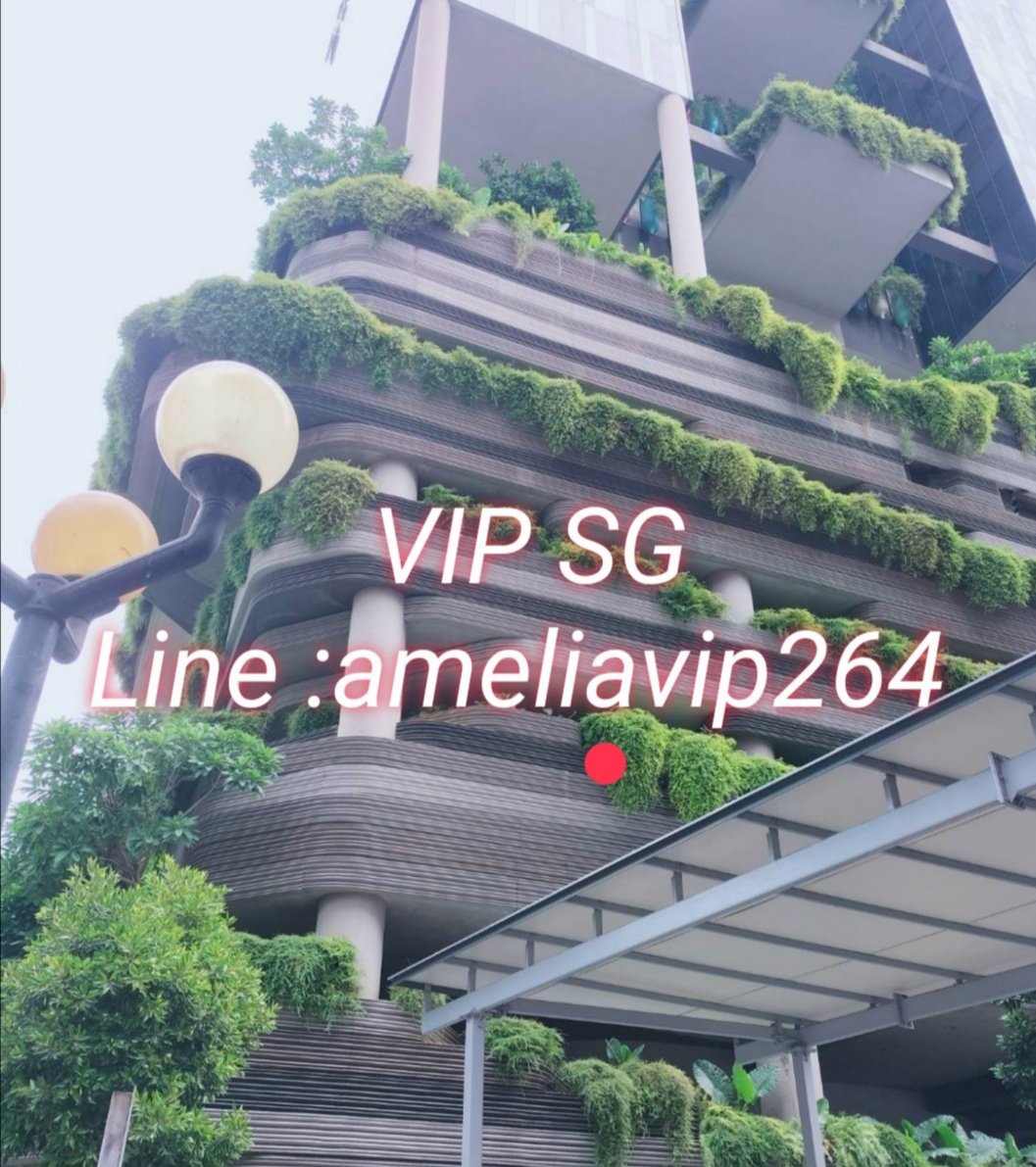 งานตรงวีไอพีต่างประเทศ​รับสาวๆด่วนงานดีเงินแสนเงินด่วนทันใจ​อยากรวยทักจร้า​ ameliavip264​