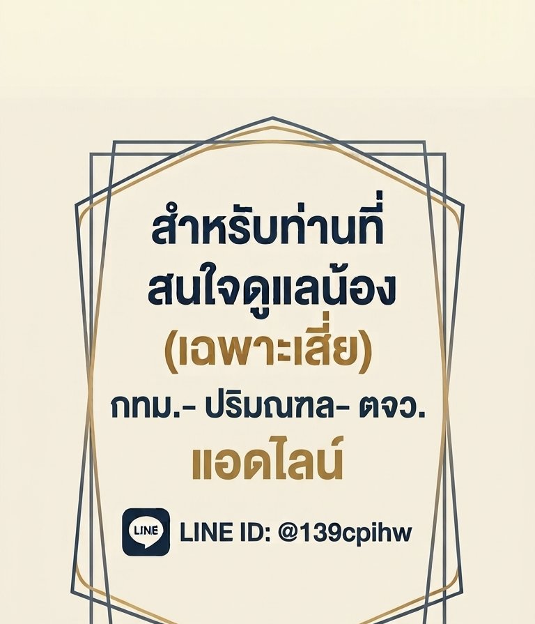 เพื่อนคนไหนที่อยากได้น้องนะคับ