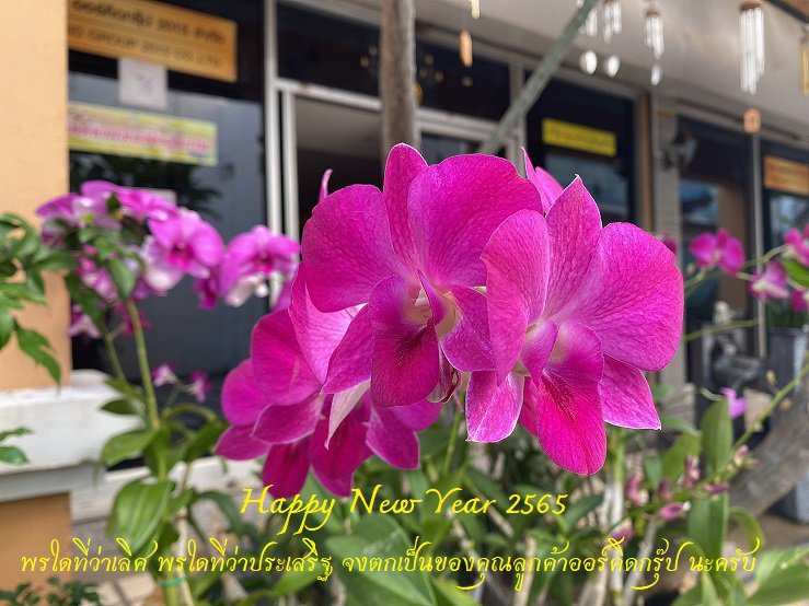 รับสมัครชายหนุ่มรักงานบริการ ร่วมงานออร์คิดกรุ๊ป ใกล้สนามบินดอนเมือง รังสิต ฟูลไทม์ พาร์ทไทม์ มีที่พัก line chunklajambal
