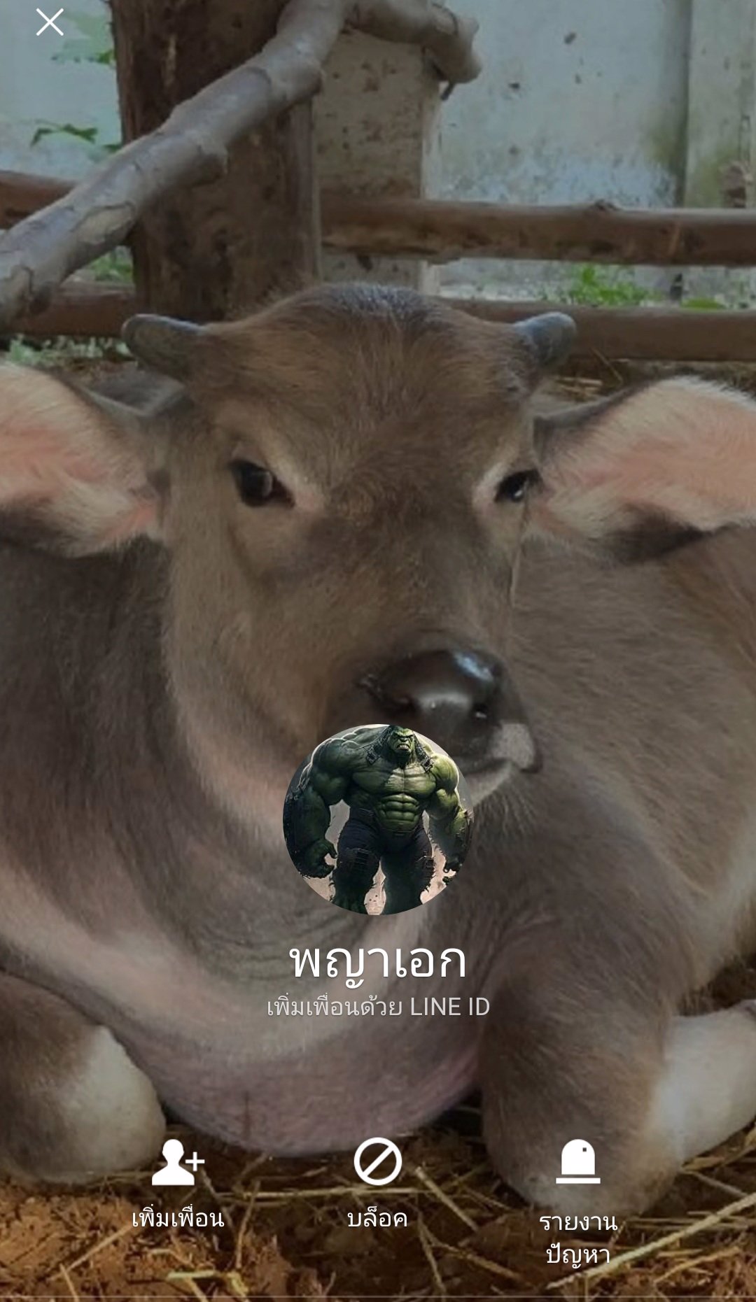 หาพี่ดูแลอาทิตย์ หนึ่งพันบาท